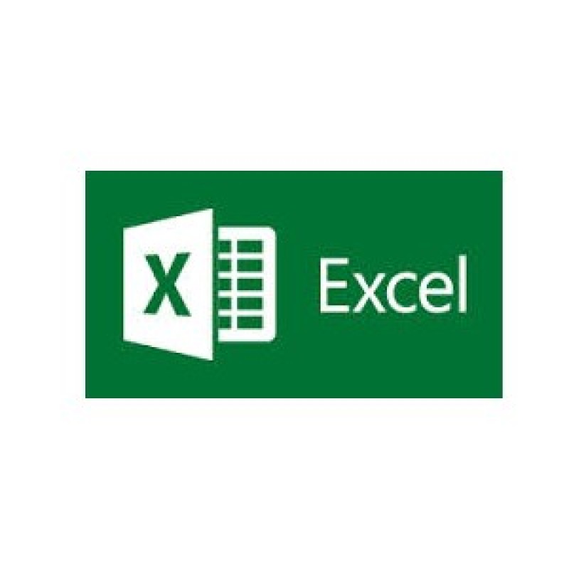 Excel Essencial 365 com Copilot - COLORIDA