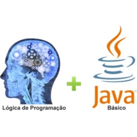 Lógica de Programação com Java Básico PRETO E BRANCO