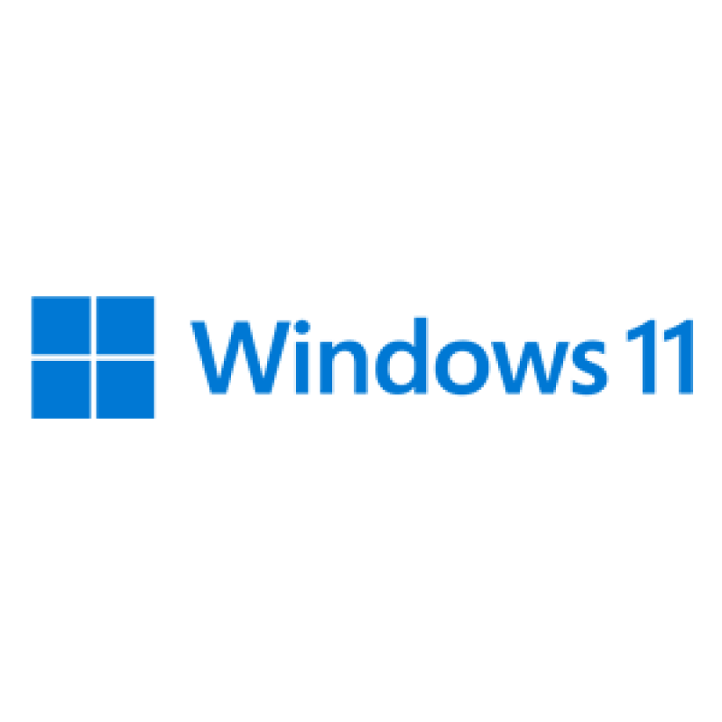 Windows 11 (PRETO E BRANCO)